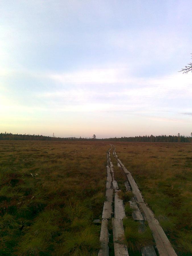 Vuotson Maja B&B ภายนอก รูปภาพ